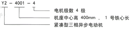 YR系列(H355-1000)高压YR5605-12/450KW三相异步电机西安西玛电机型号说明